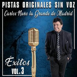 Cover of Pistas Originales Sin Voz (Éxitos Vol. 3)