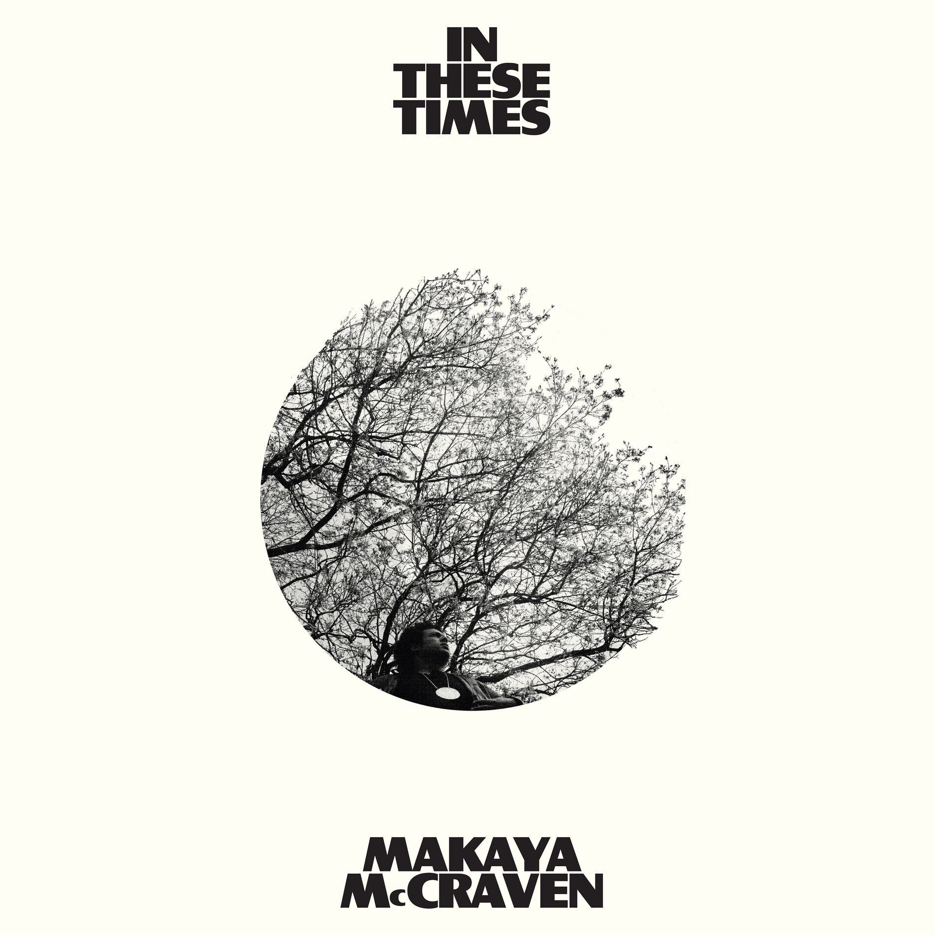 Album cover of In These Times