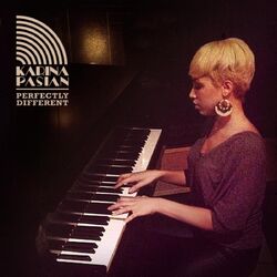 Cover of Perfectly Different