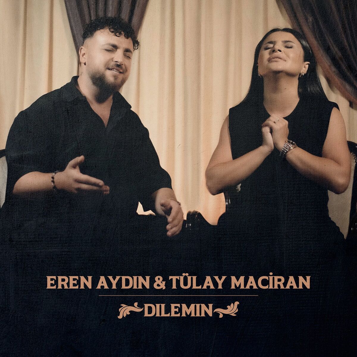 Album cover of Dılemın