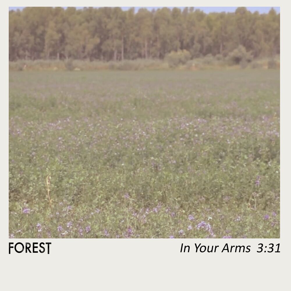 Picture of In Your Arms