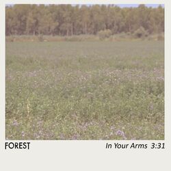 Cover of In Your Arms