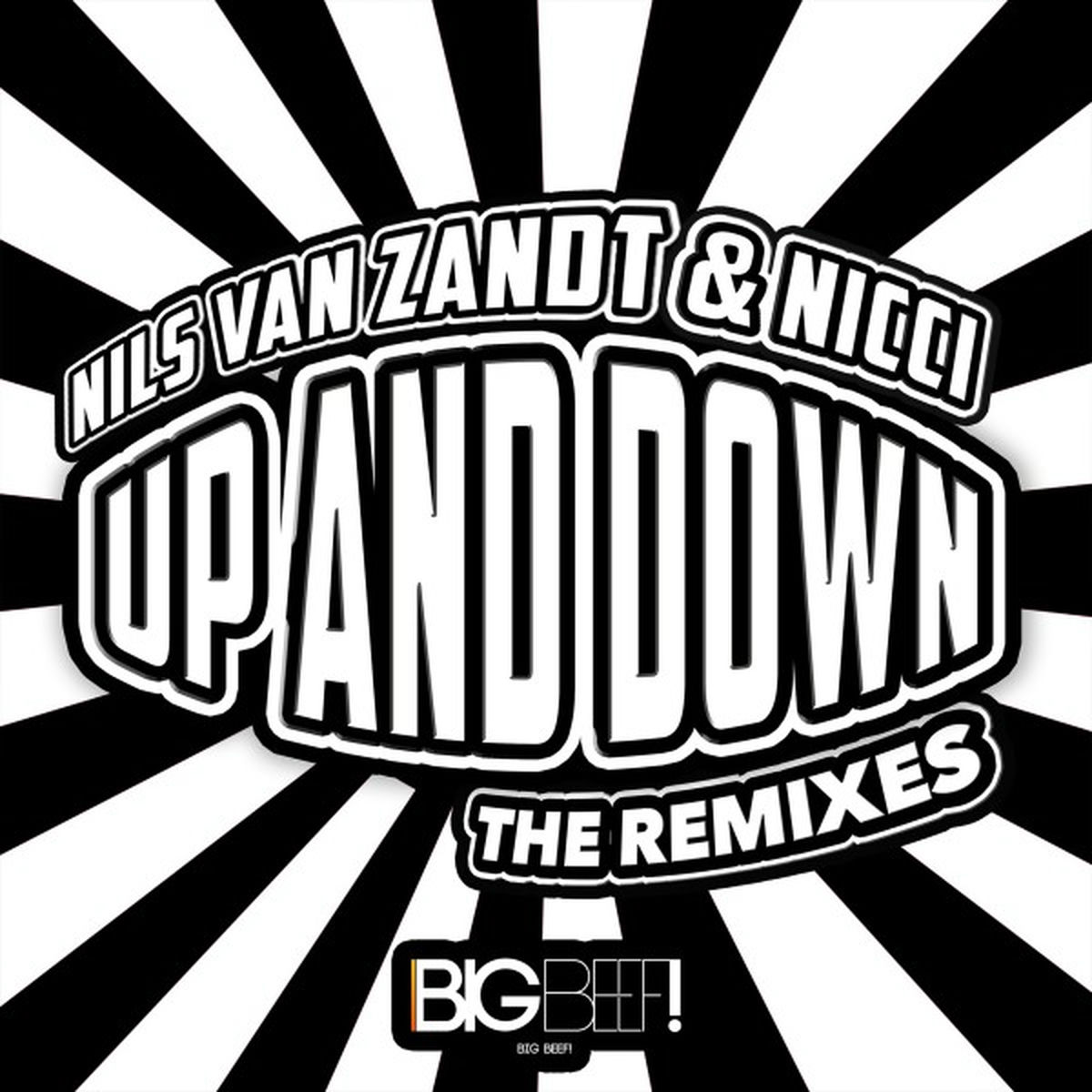 Album cover of Up and Down (The Remixes)