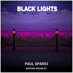 Cover of Black Lights