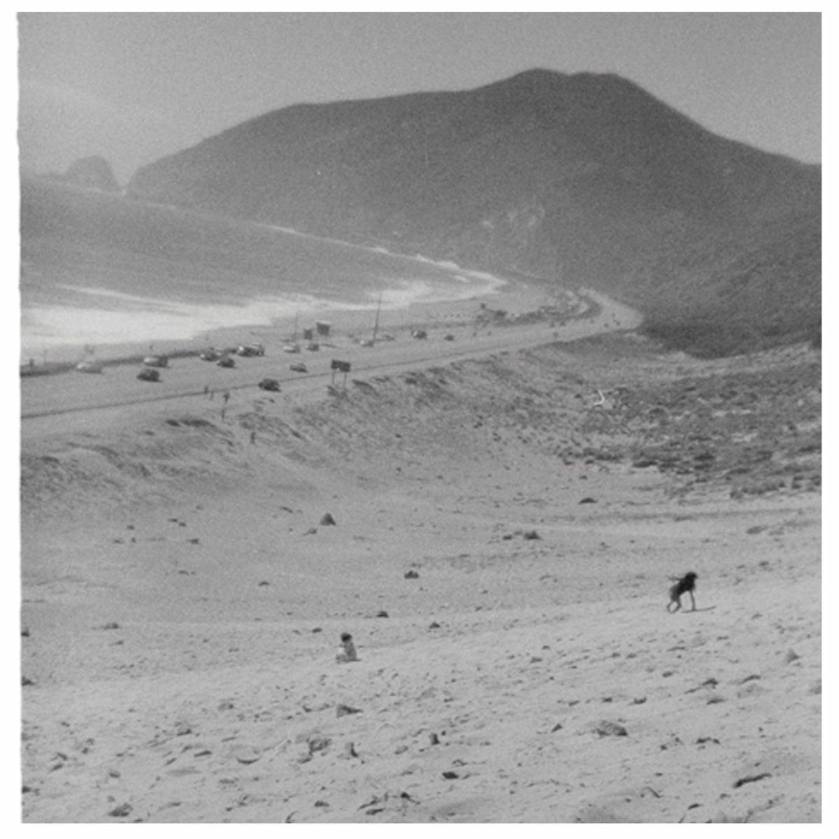 Album cover of We Must Be Killers