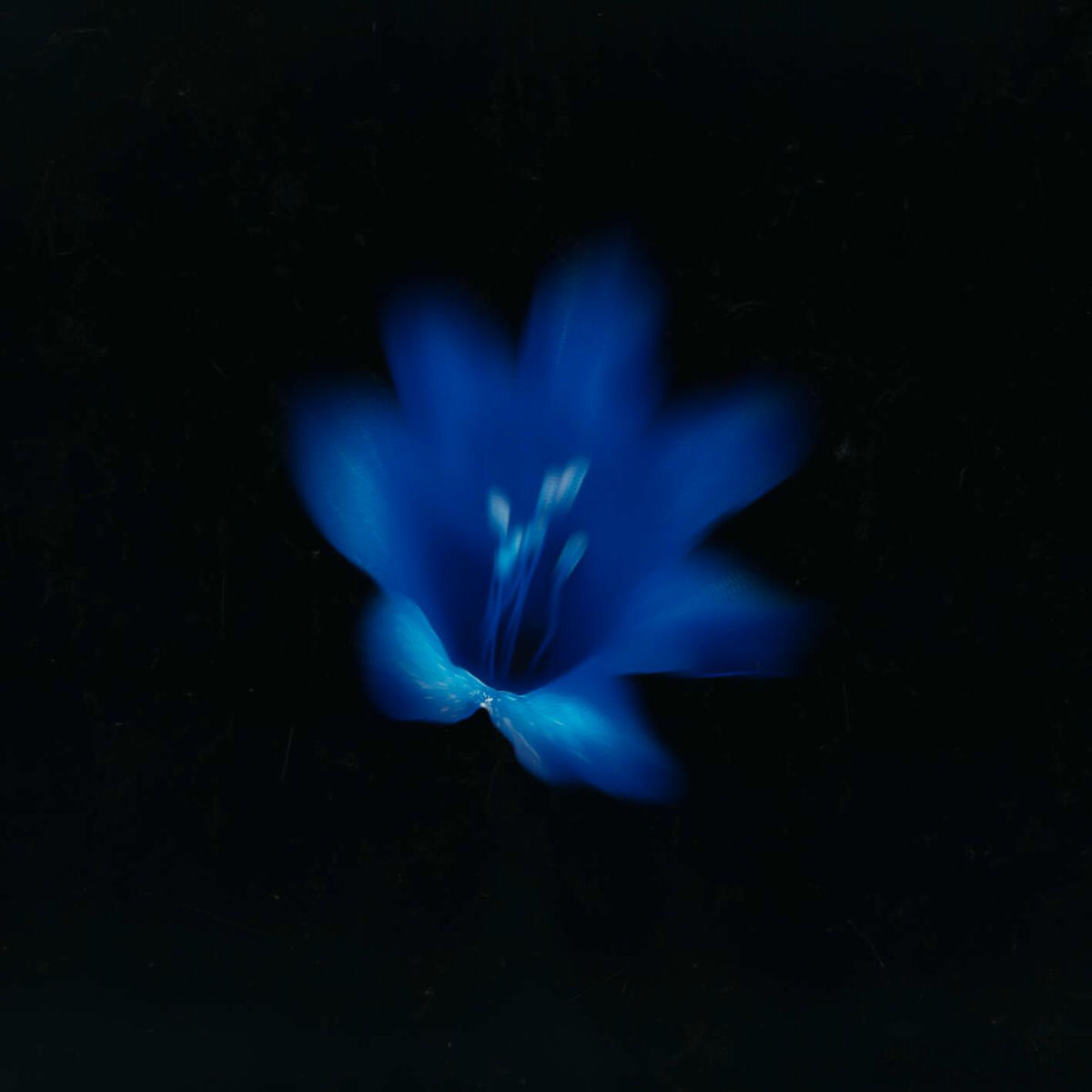 Album cover of PERFUME