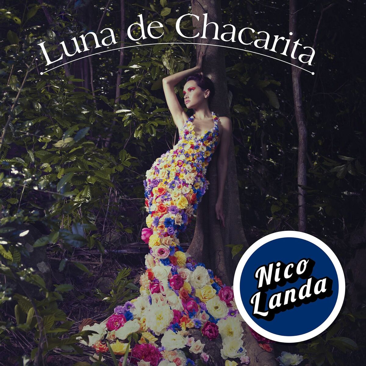 Album cover of Luna de Chacarita