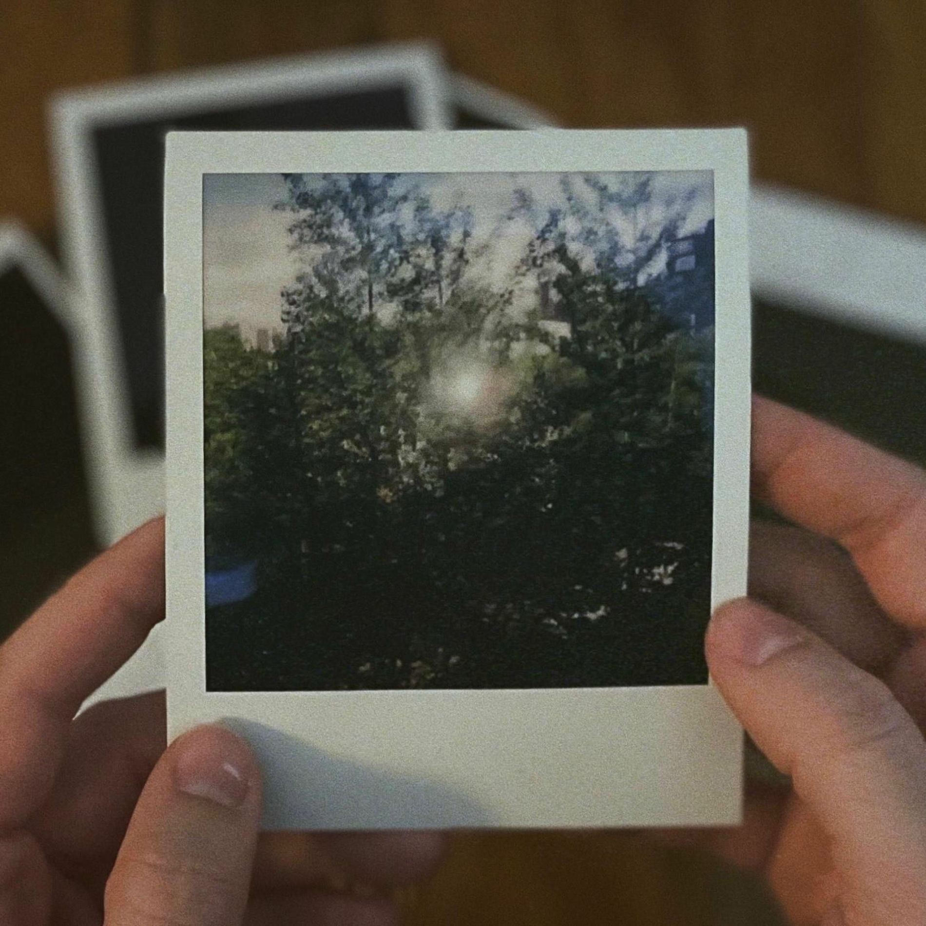 Album cover of The World at Large