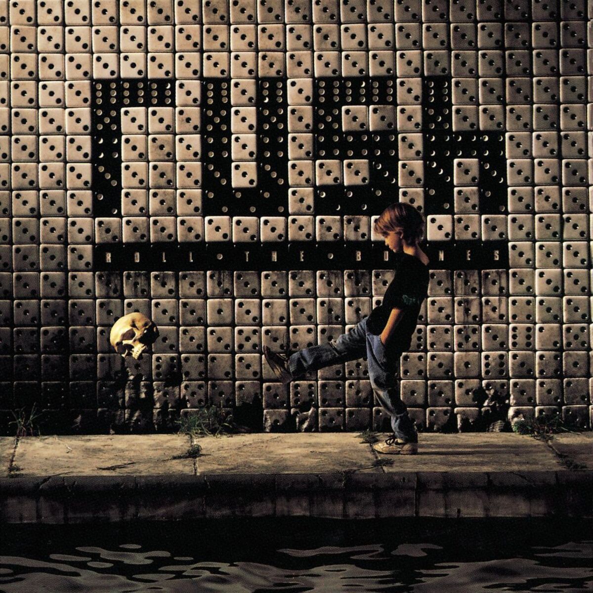 Album cover of Roll the Bones (2004 Remaster)