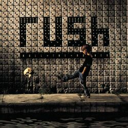 Cover of Roll the Bones (2004 Remaster)