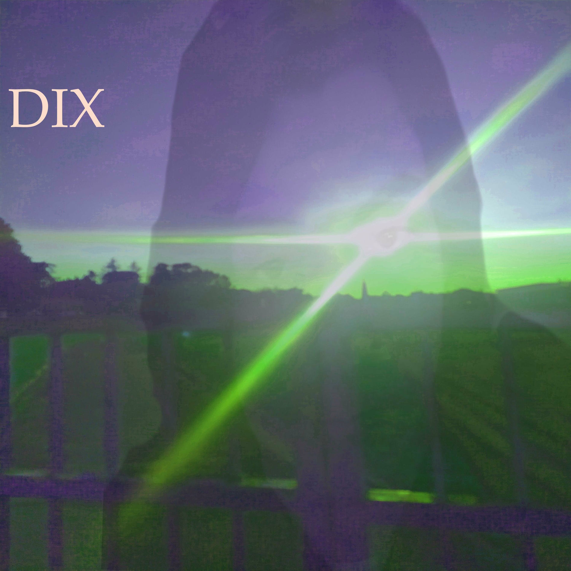 Album cover of Dix
