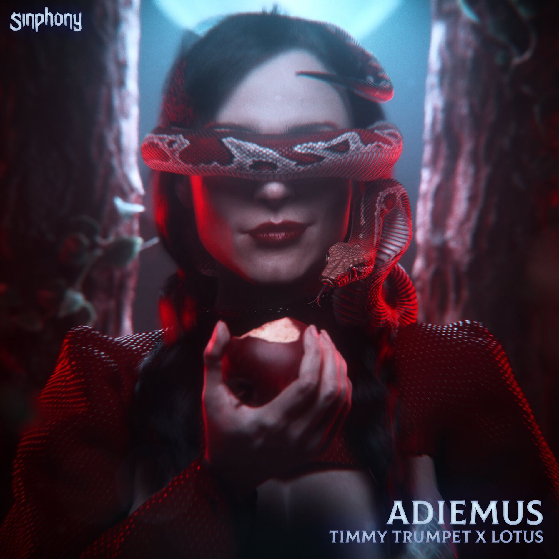 Album cover of Adiemus