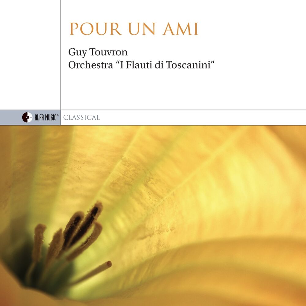 Picture of Pour un ami