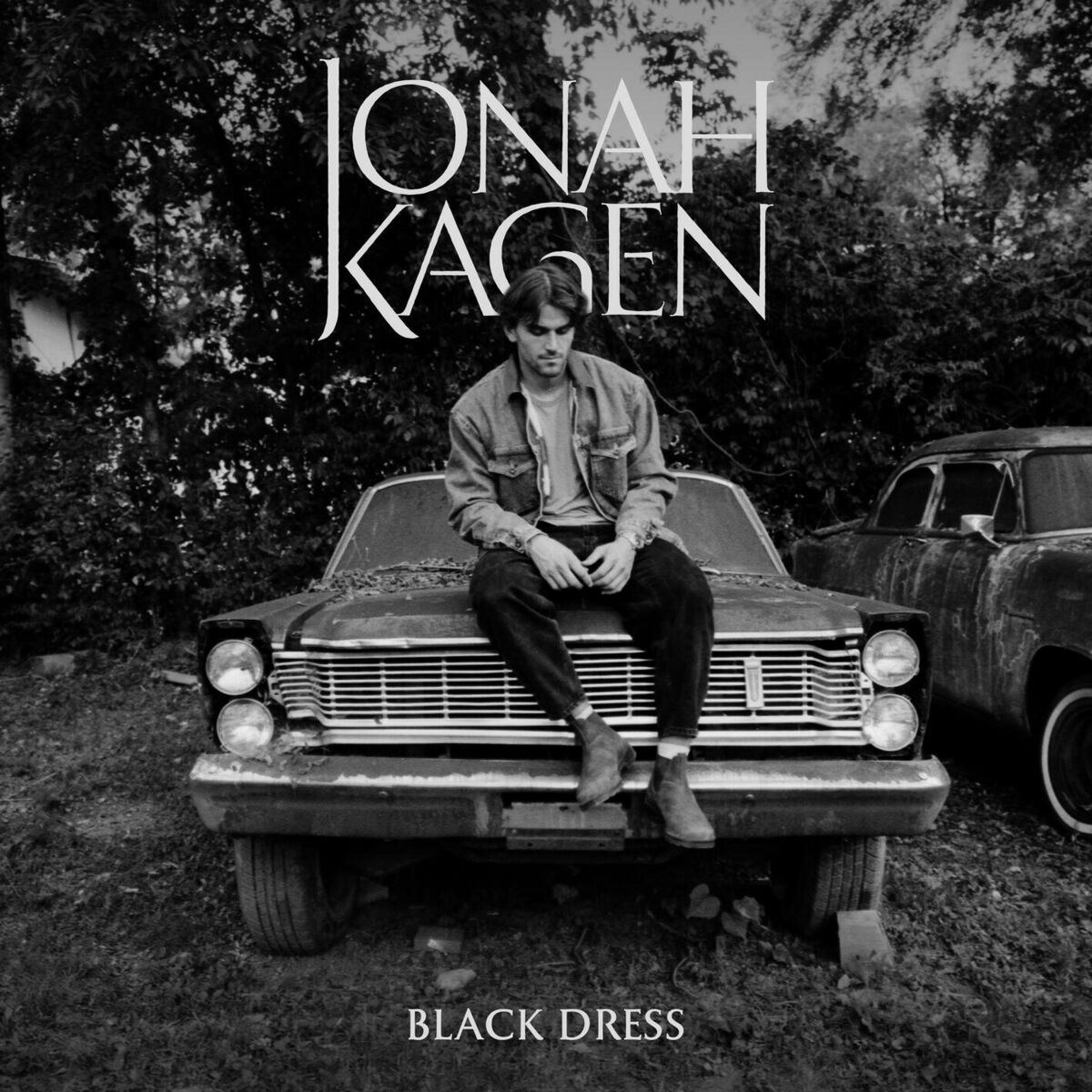 Album cover of Black Dress