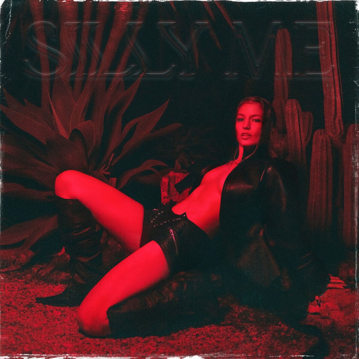 Album cover of Silly Me