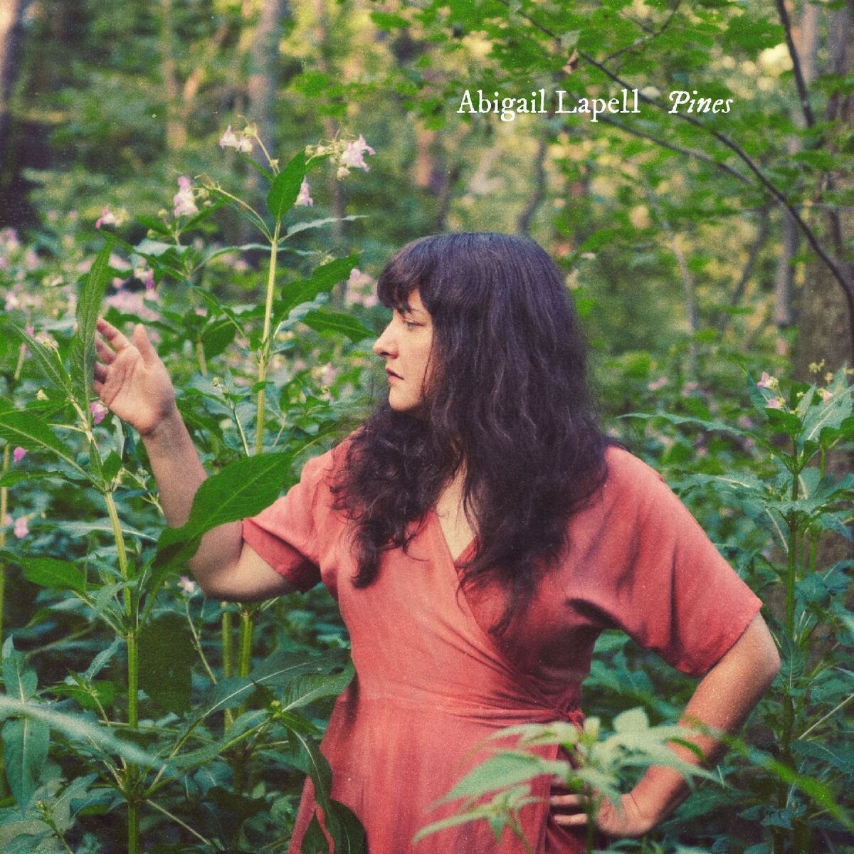 Album cover of Pines