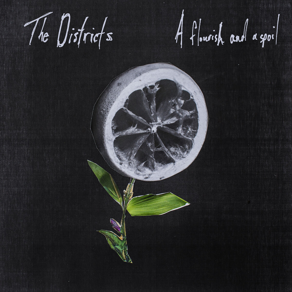 Album cover of A Flourish and a Spoil