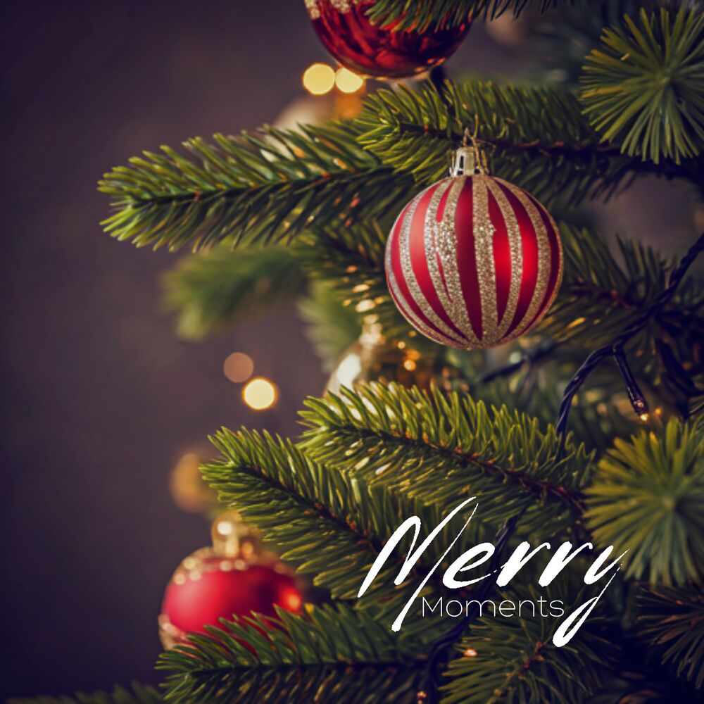 Picture of Merry Moments: Moments of Wonder and Delight