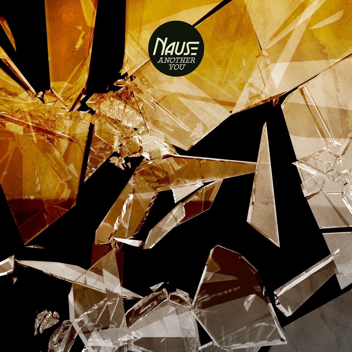 Album cover of Another You