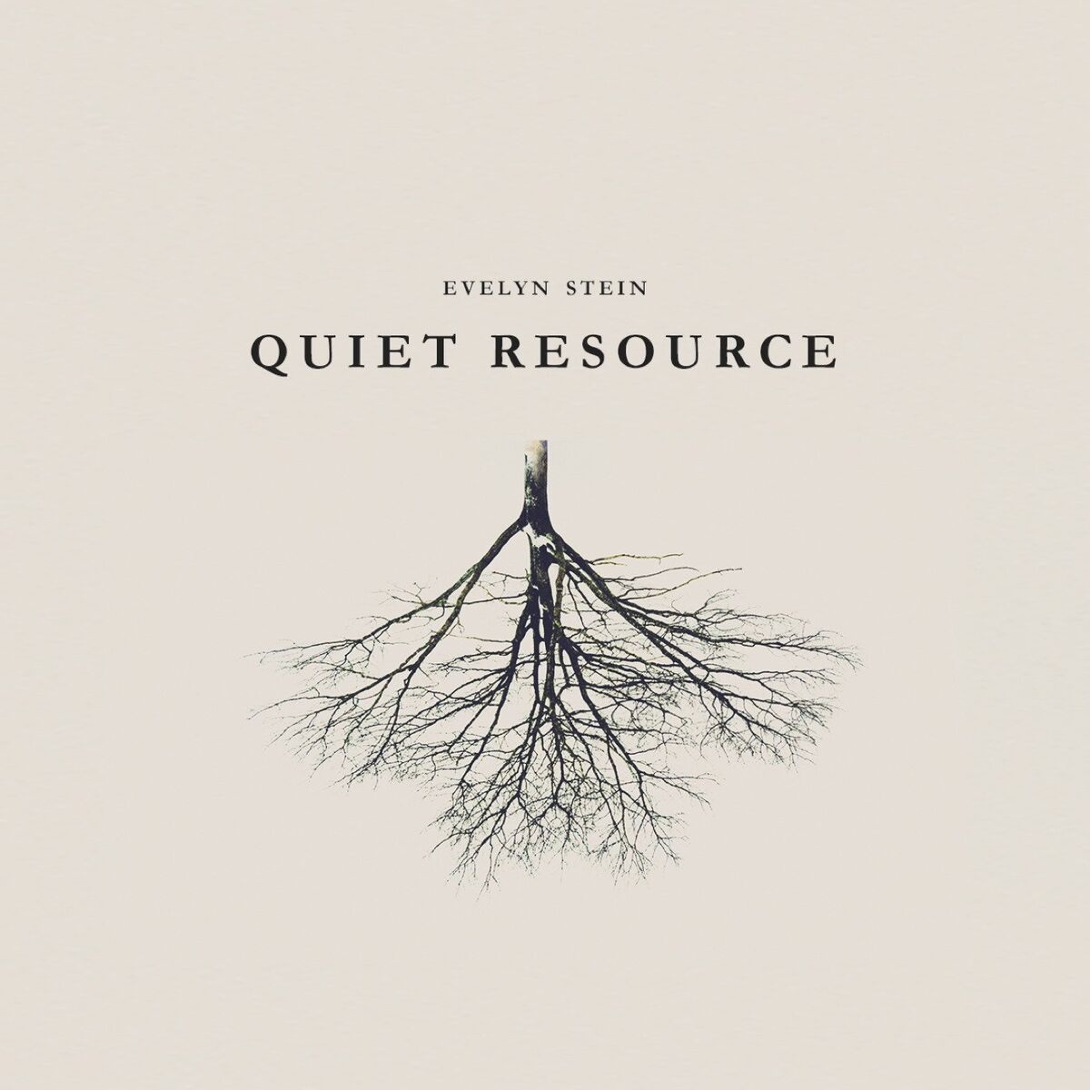 Album cover of Quiet resource