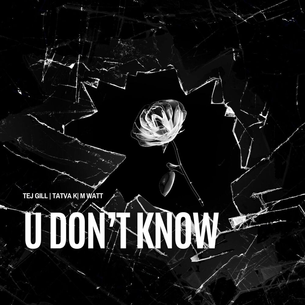 Picture of U Don't Know