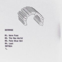 Cover of The New World