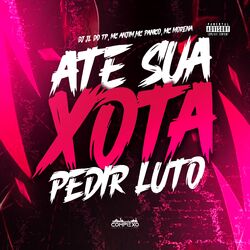 Cover of Ate Sua Xota Pedir Luto