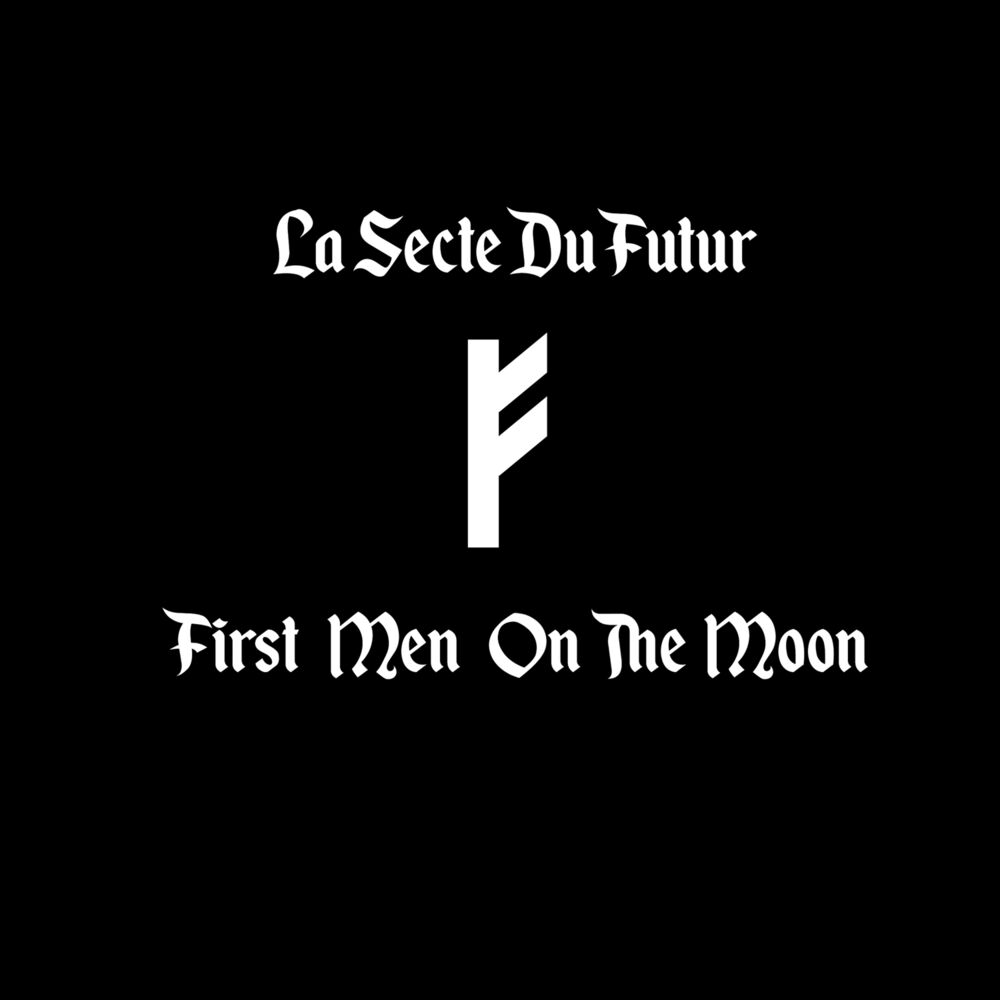 Picture of The First Men on the Moon