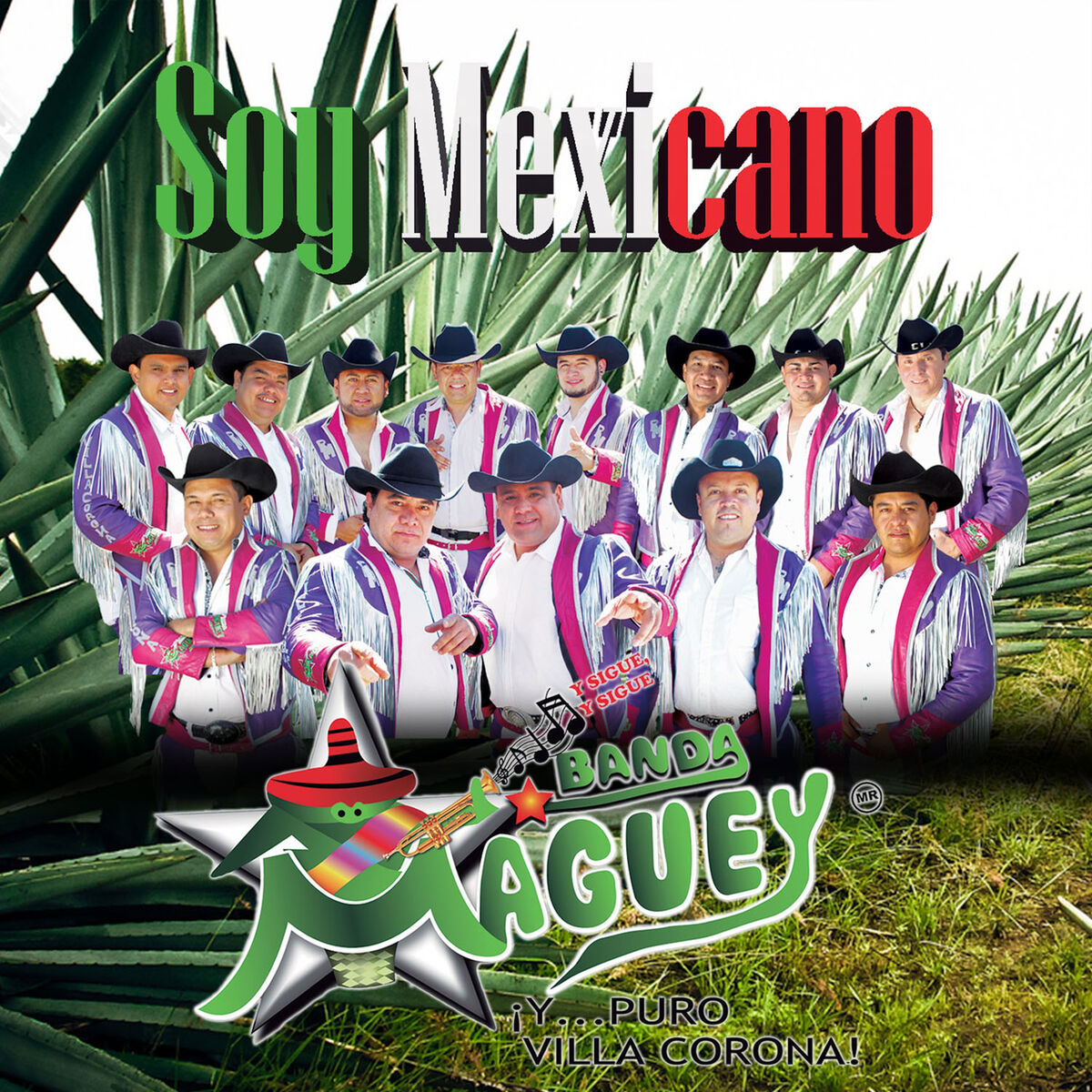 Album cover of Soy Mexicano