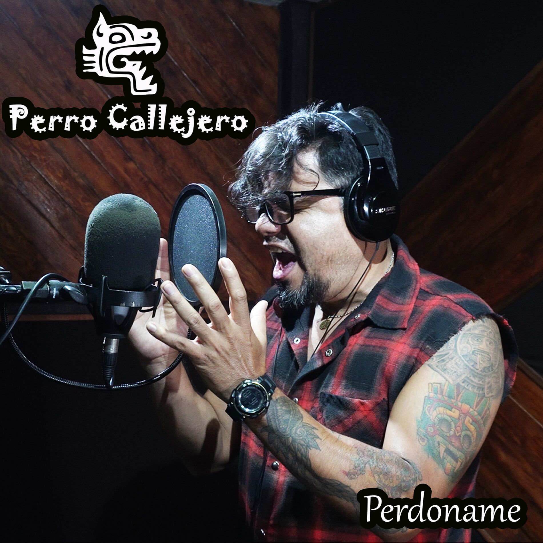 Album cover of Perdoname