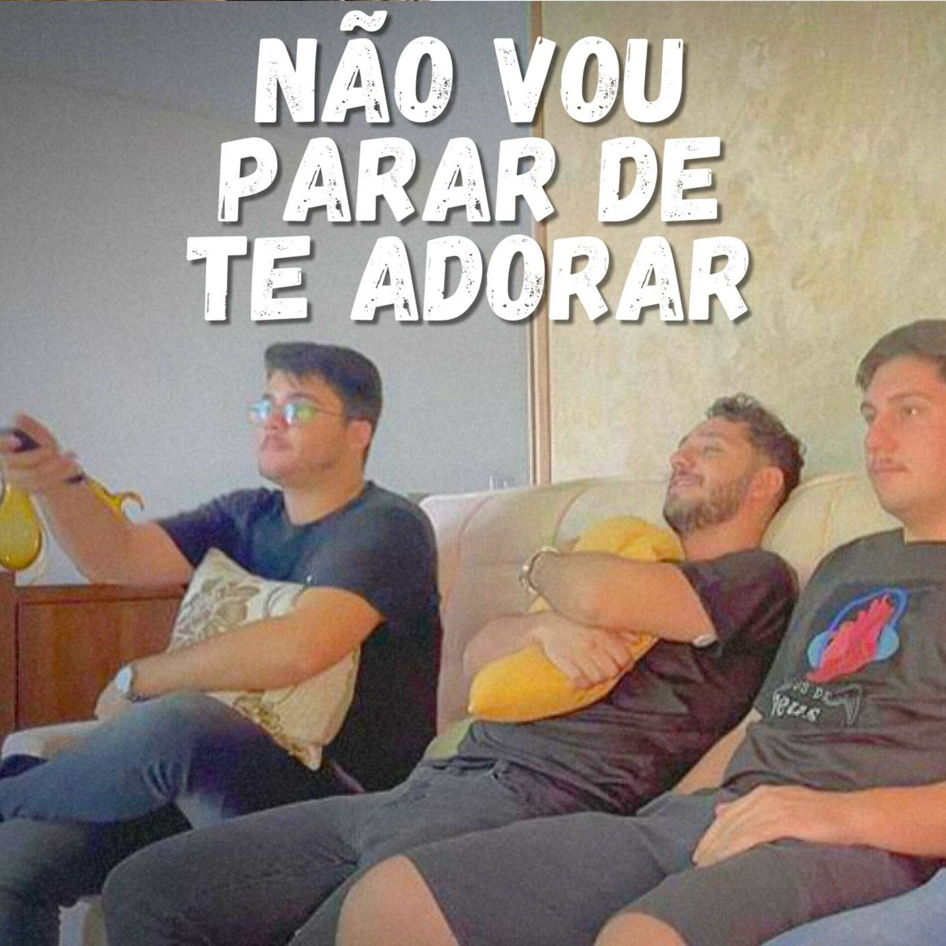 Album cover of Não Vou Parar de Te Adorar