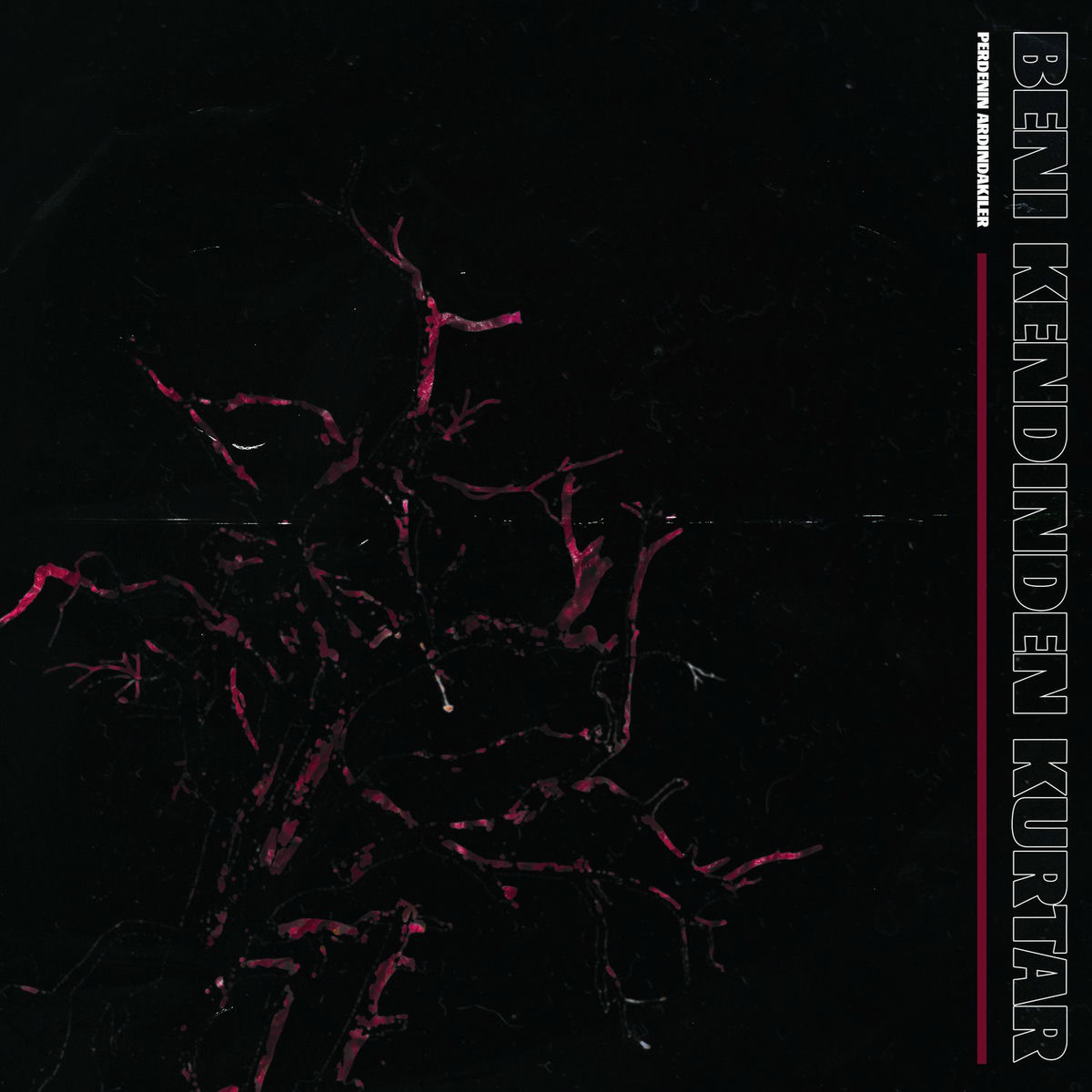 Album cover of Beni Kendinden Kurtar