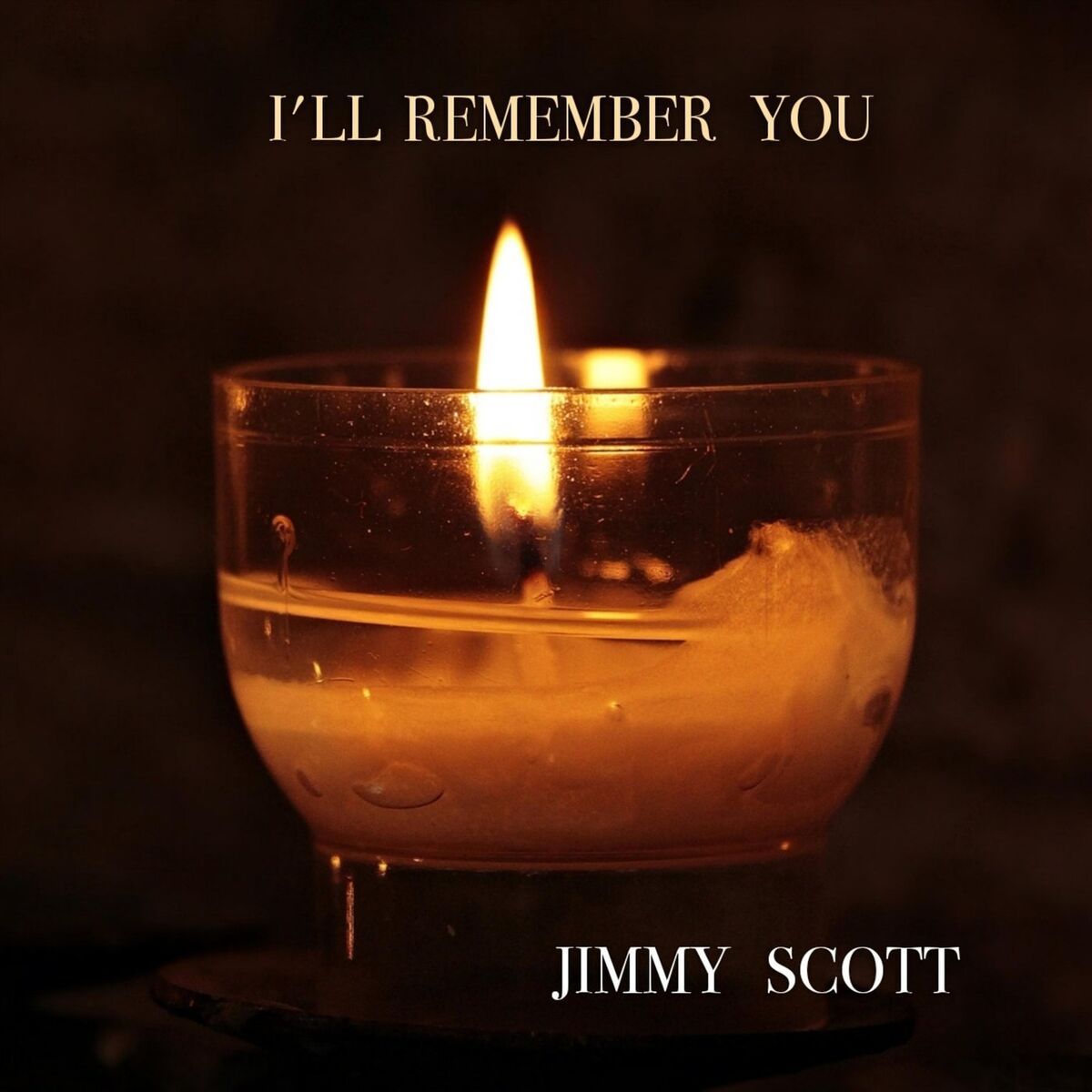 Album cover of I'll Remember You