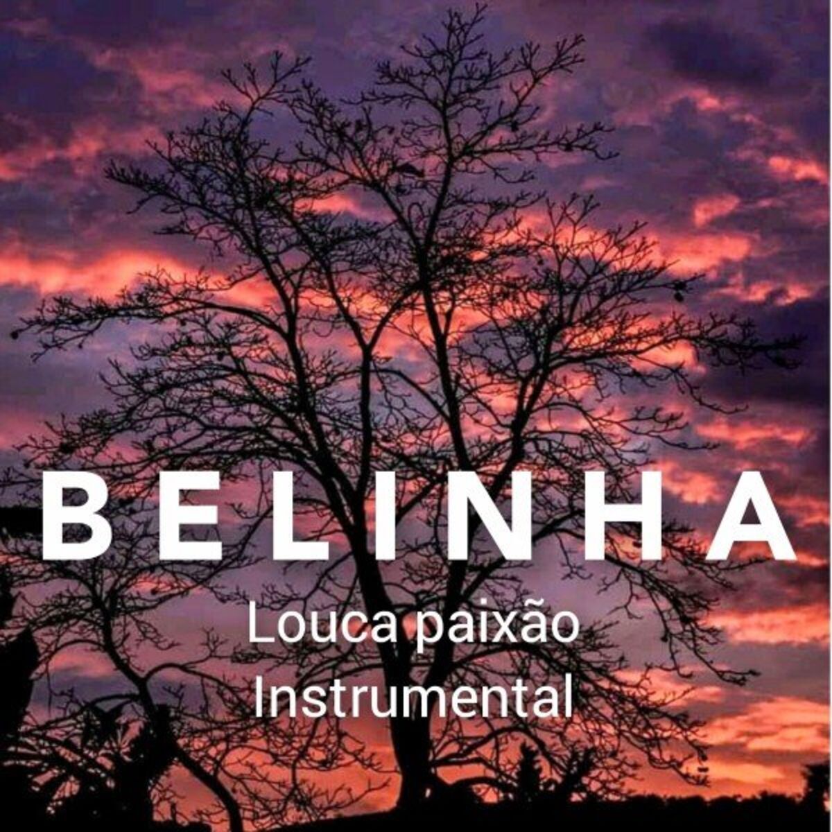 Album cover of Louca Paixão (Instrumental)