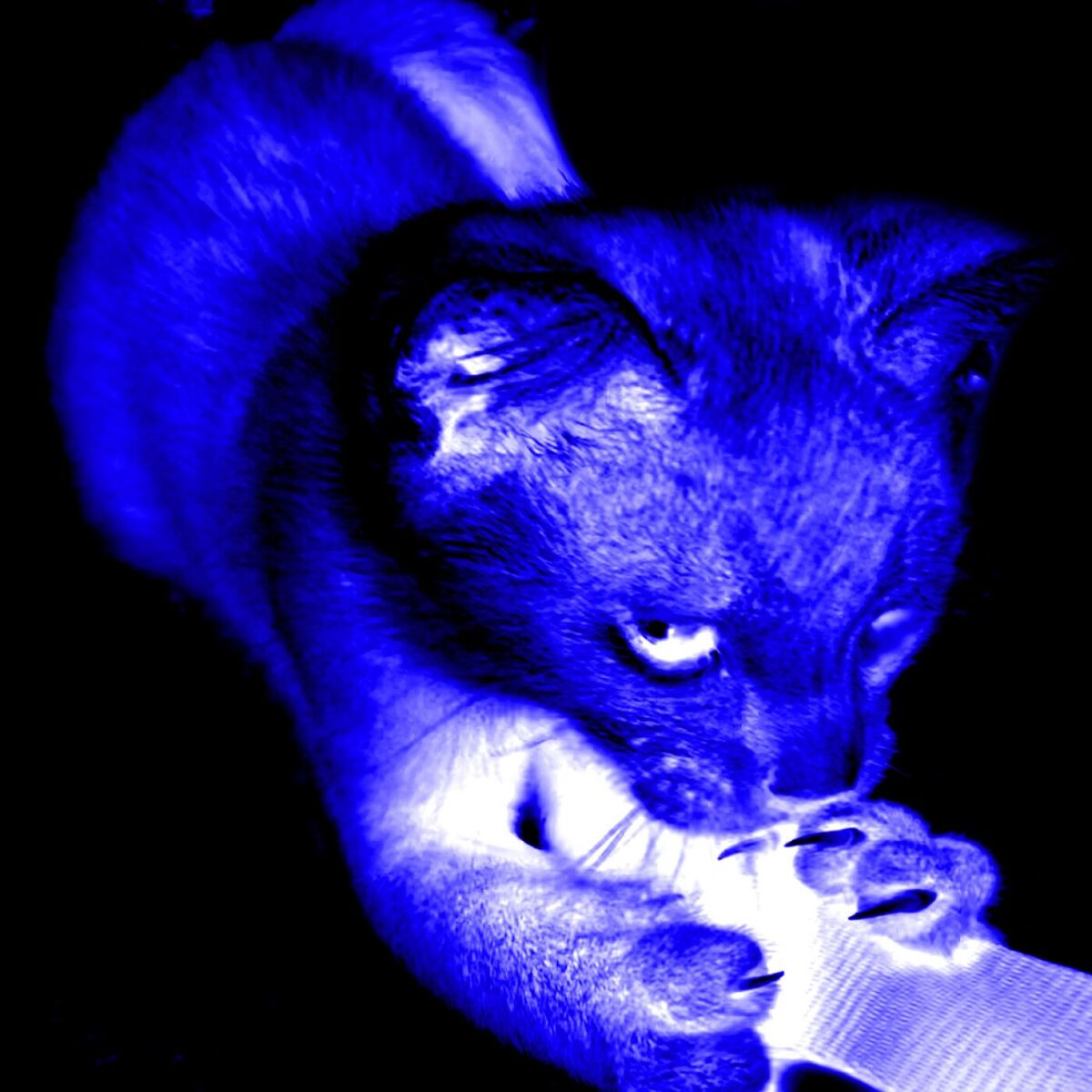 Album cover of rouge