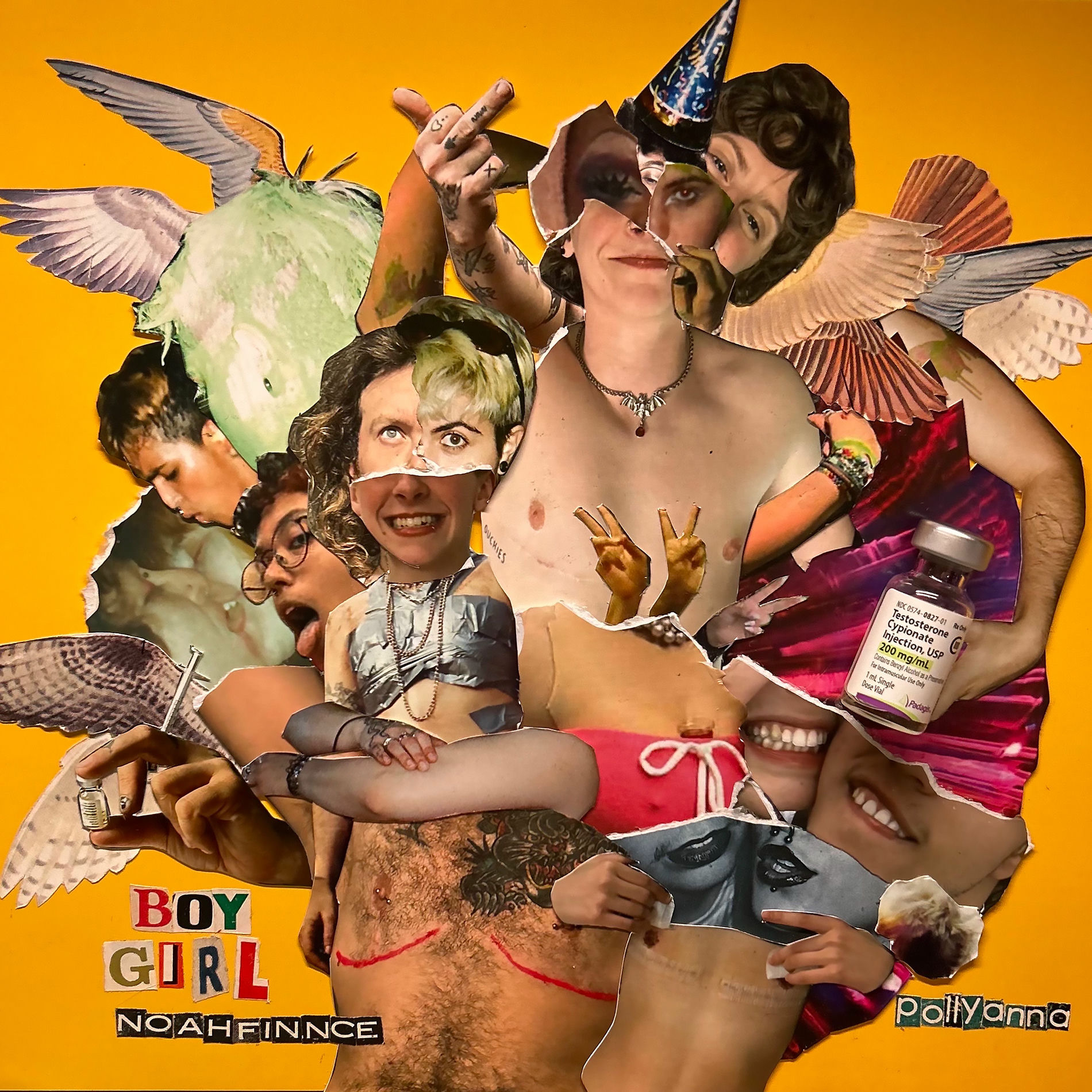 Album cover of Boygirl