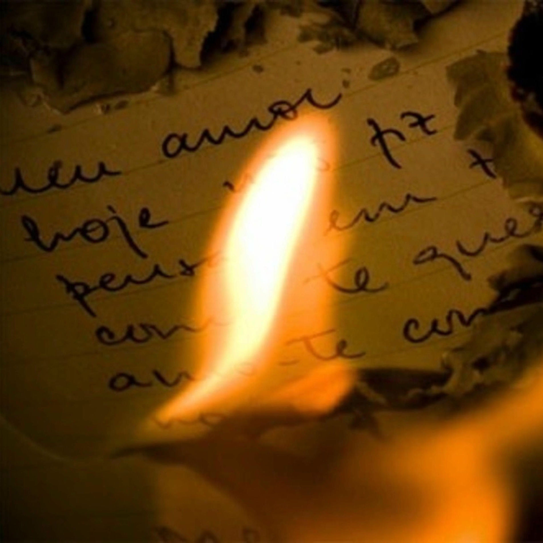 Album cover of Burn It