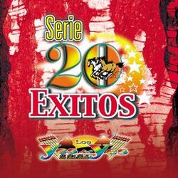 Cover of Serie 20 Exitos
