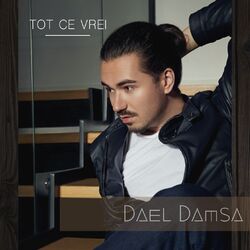 Cover of Tot Ce Vrei