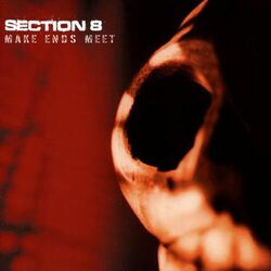 Cover of Make Ends Meet