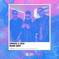 Cover of Rude Boy