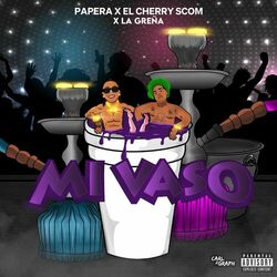 Cover of MI Vaso