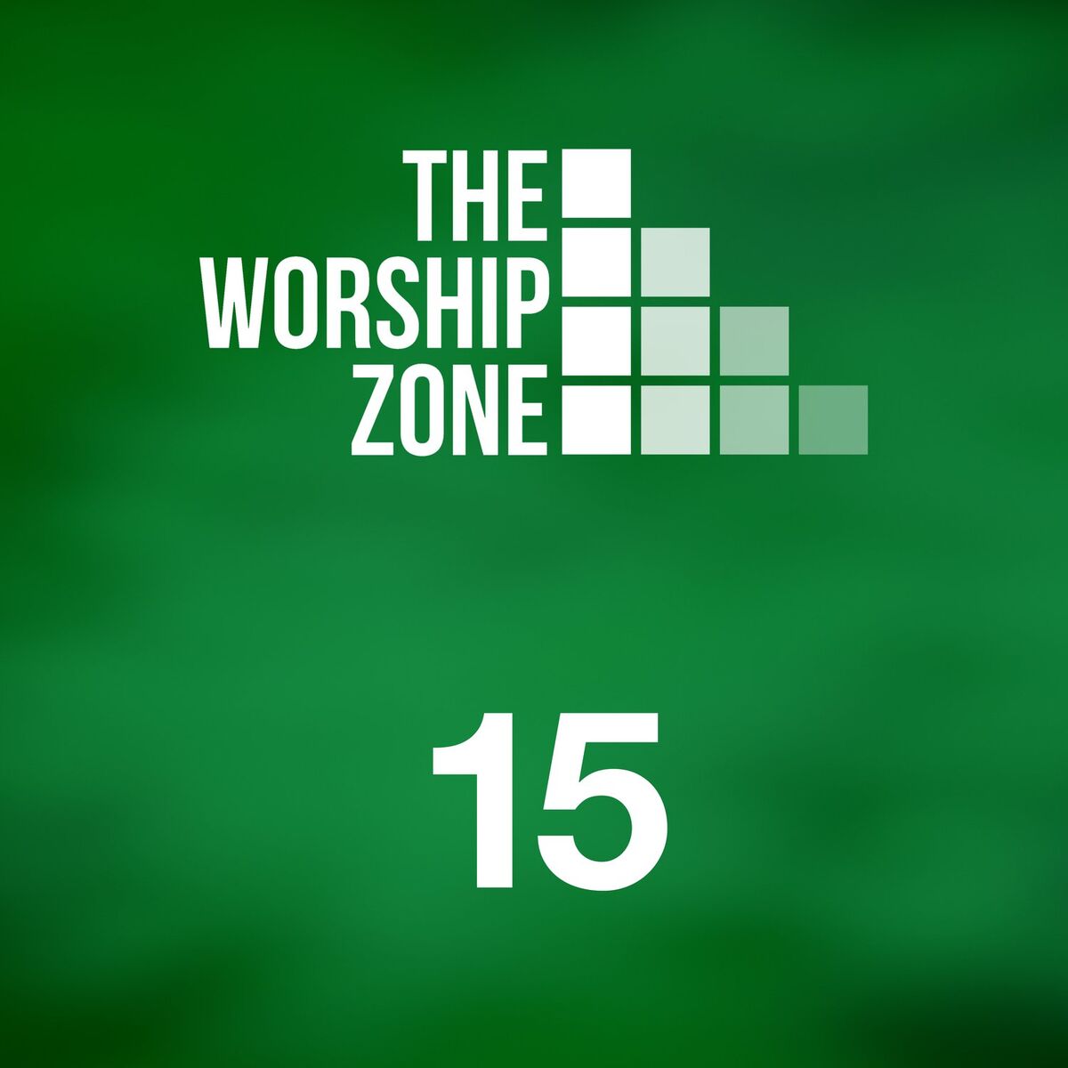 Album cover of 15