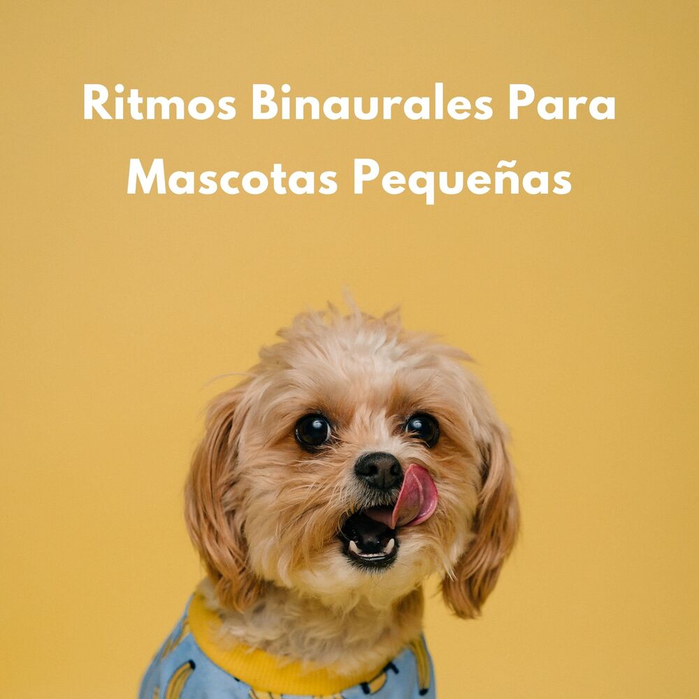 Picture of Ritmos Binaurales Para Mascotas Pequeñas