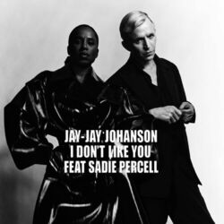 Cover of I Don't Like You