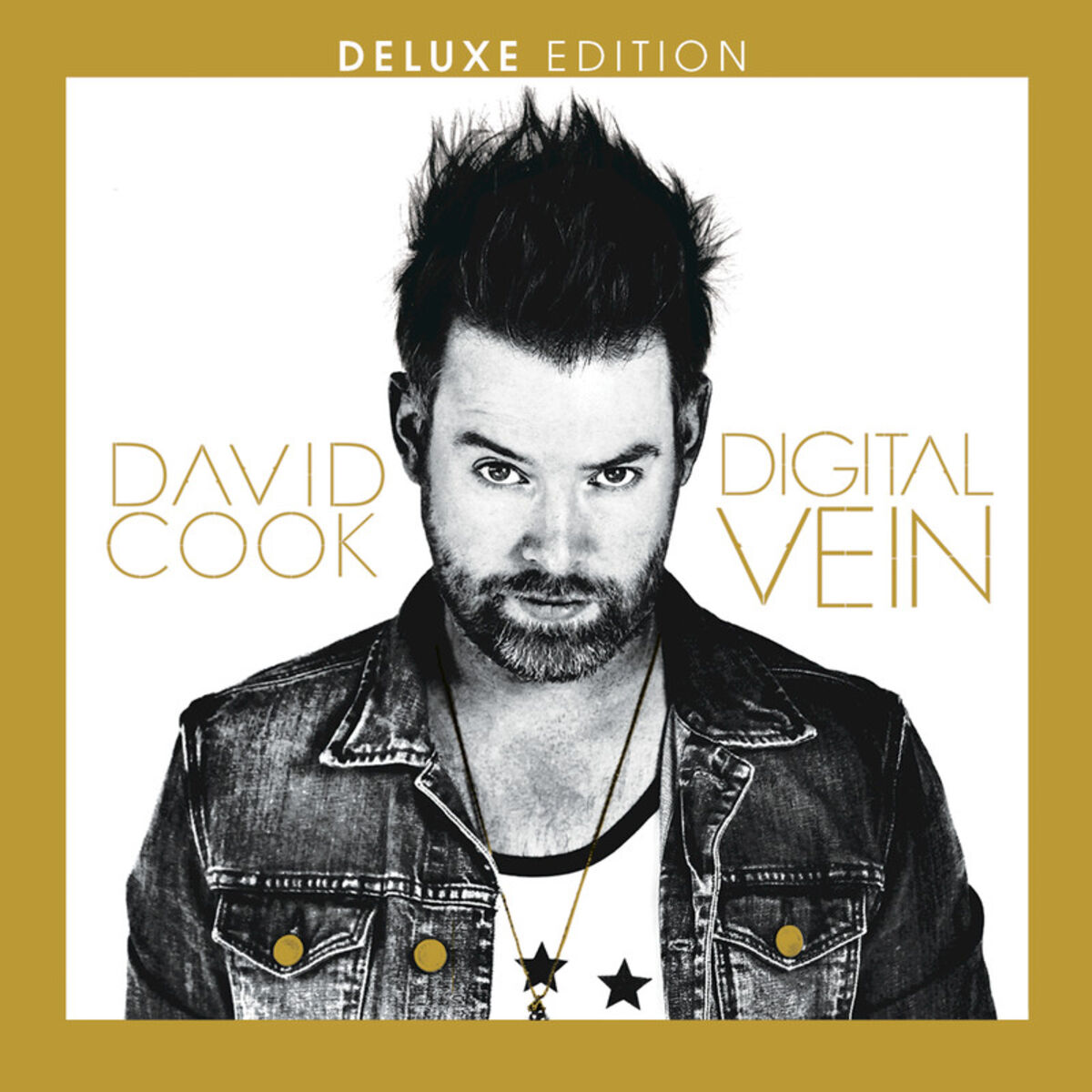 Album cover of Digital Vein (Deluxe Version)