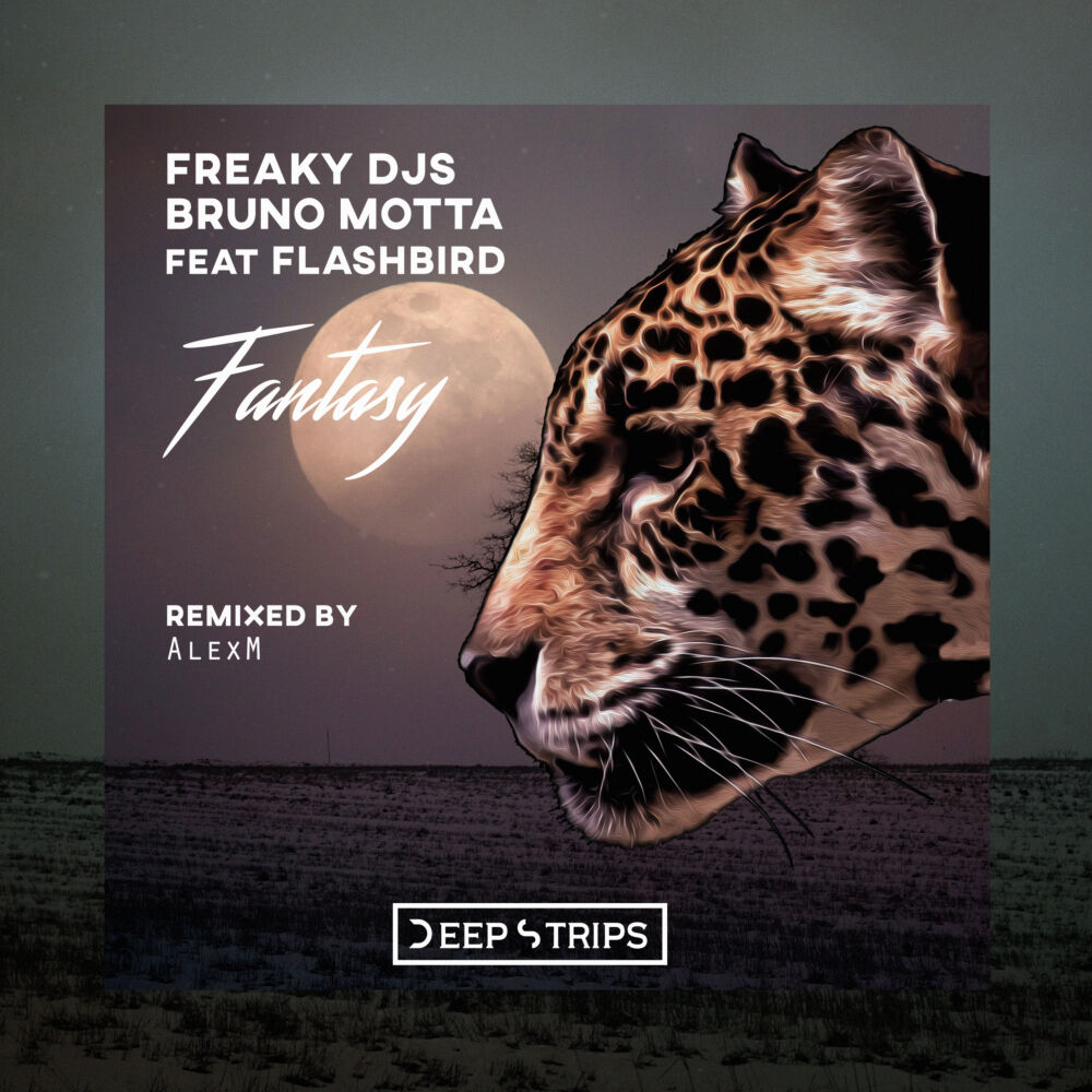 Picture of Fantasy