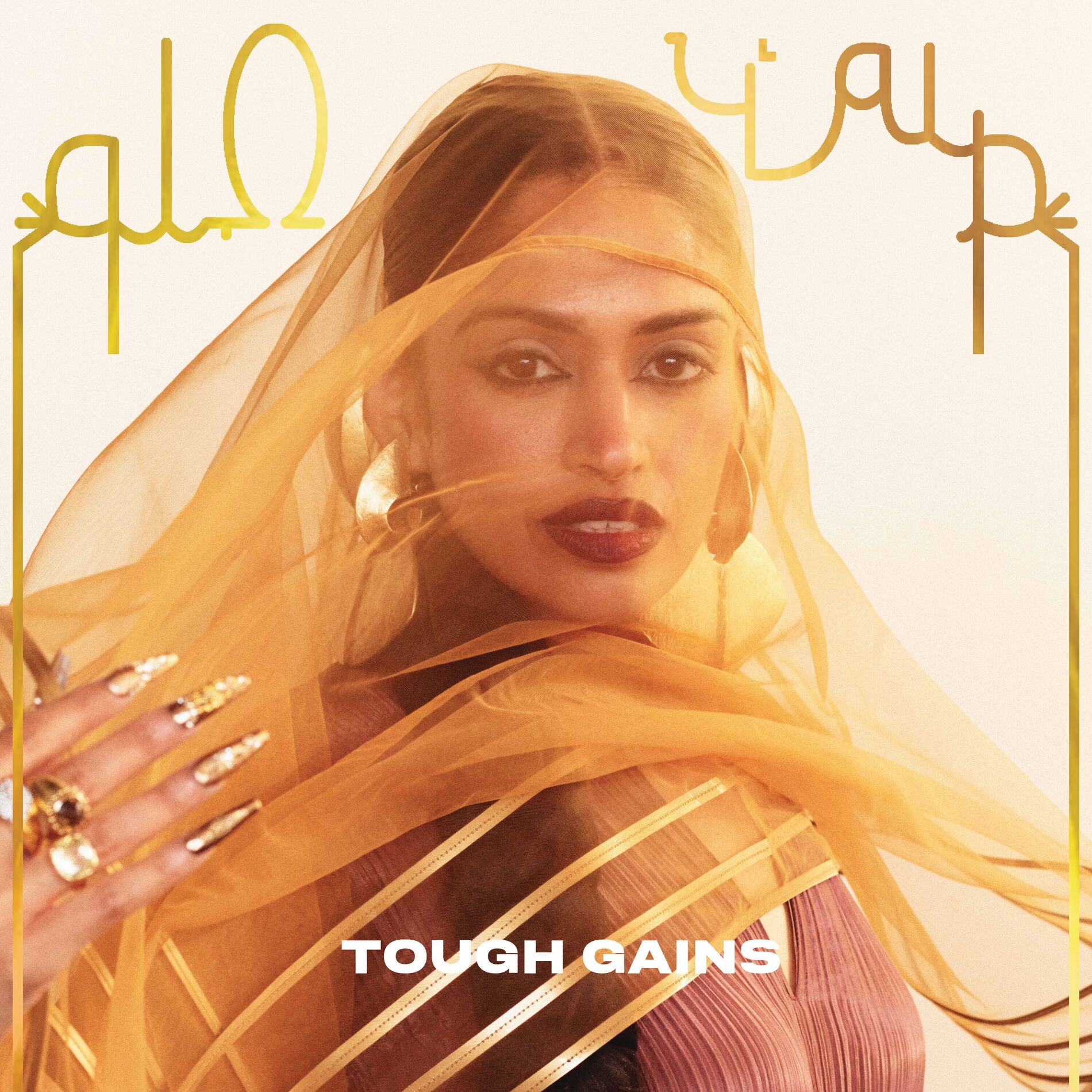 Album cover of Tough Gains