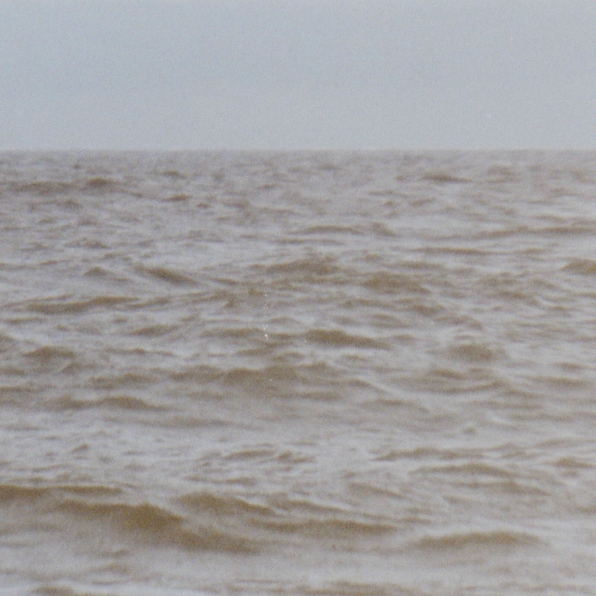 Album cover of Wild Sea
