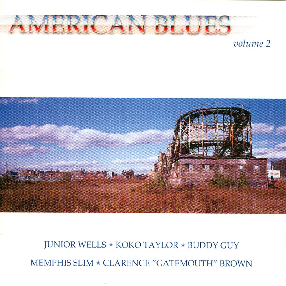 Album cover of American Blues Volume 2